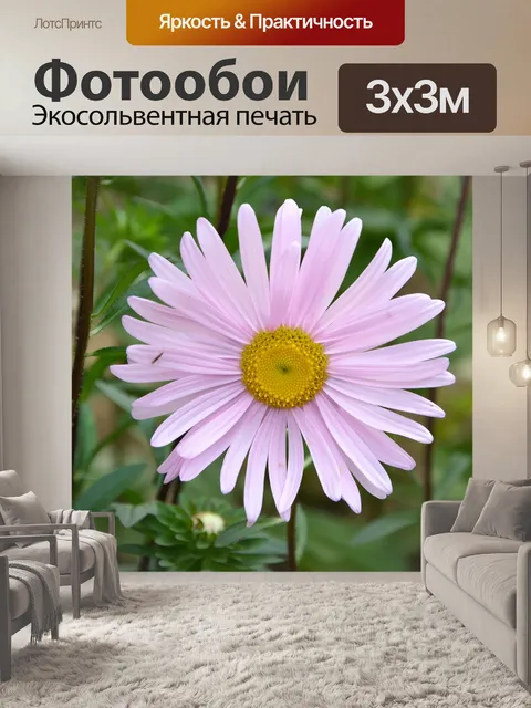 Фотообои Цветок