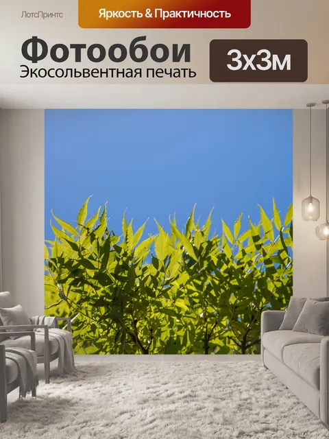 Фотообои Зеленые листья