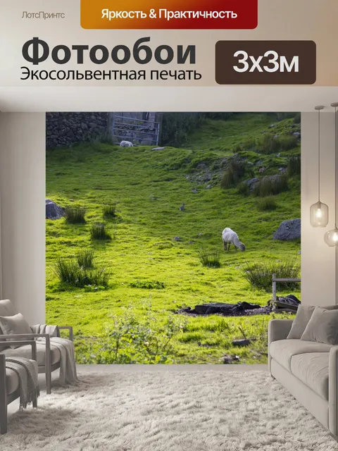 Фотообои Зеленый луг