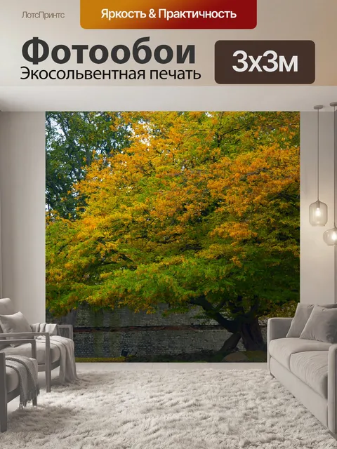 Фотообои Осеннее Дерево