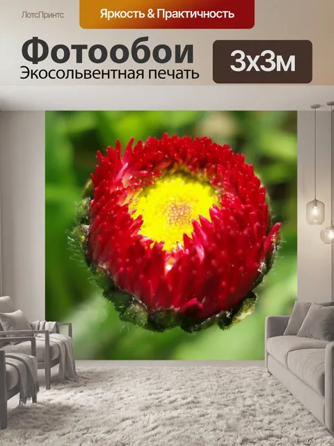 Фотообои Дейзи