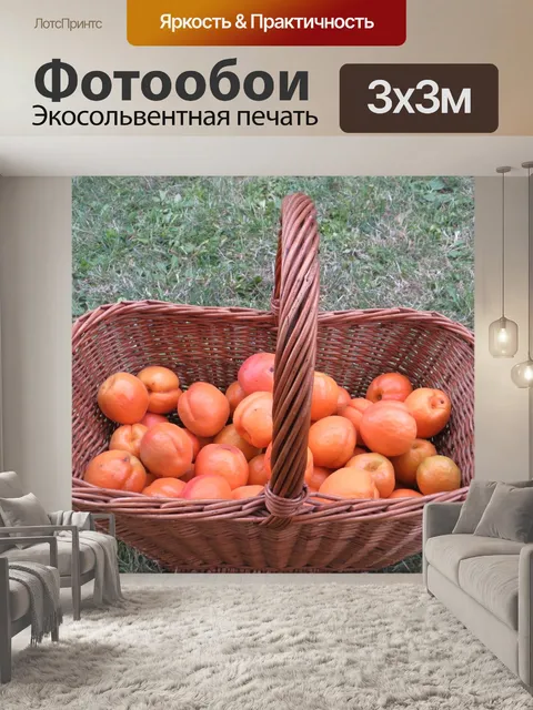 Фотообои Абрикосы в корзине