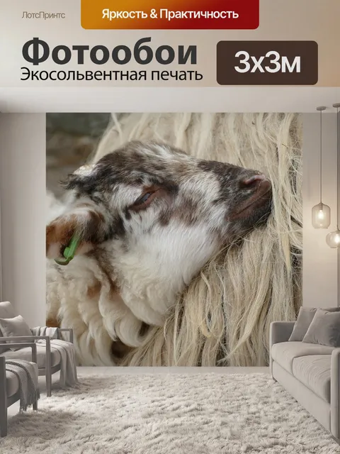 Фотообои Ягненок