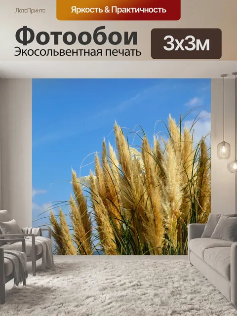 Фотообои Голубое небо желтая трава