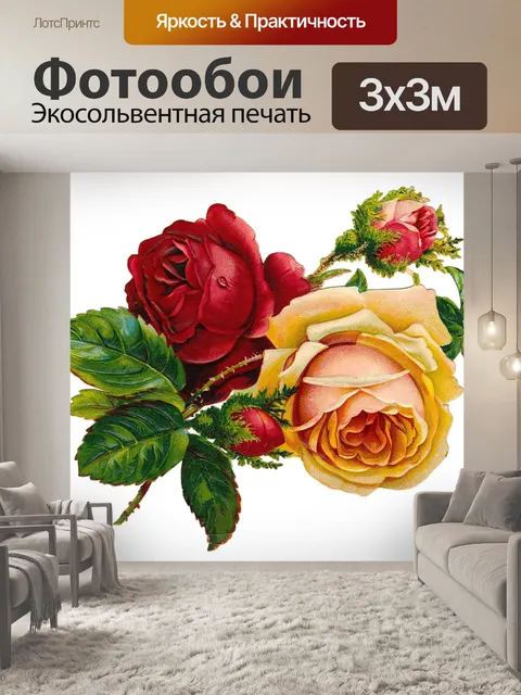 Фотообои Розы