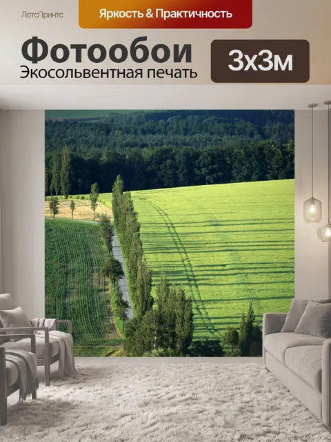 Фотообои Лес