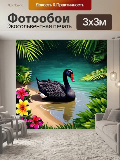 Фотообои изображение черного лебедя