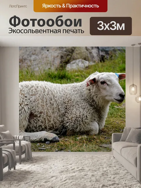 Фотообои Остановка овец