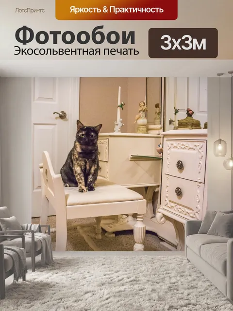 Фотообои Кошка