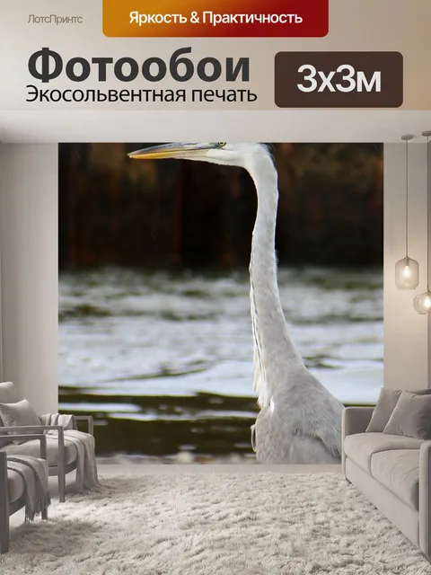 Фотообои Животное