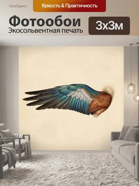 Фотообои Перо с декоративным оперением