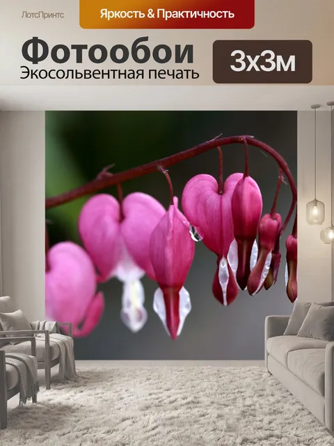 Фотообои Сердца