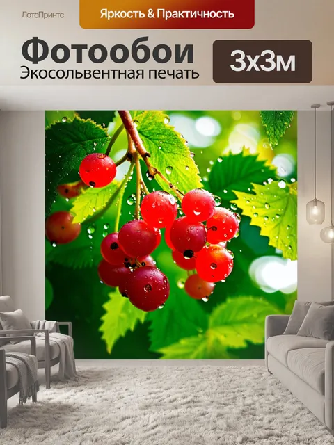 Фотообои Крупный план спелых красных смородин, покрытых капельками воды, на фоне зеленых листьев
