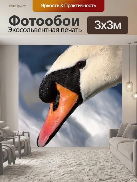 Фотообои Лебедь
