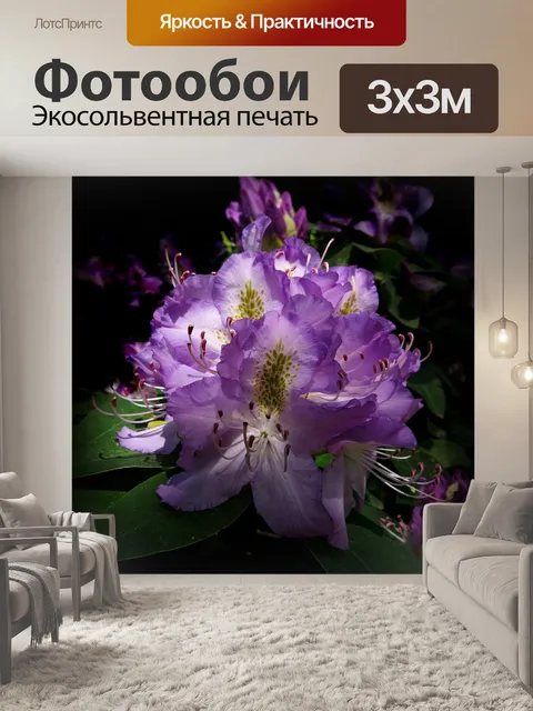 Фотообои Рододендрон