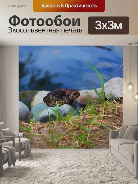 Фотообои Жаба