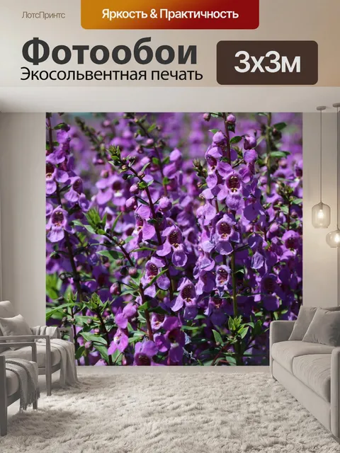 Фотообои Цветочный садик
