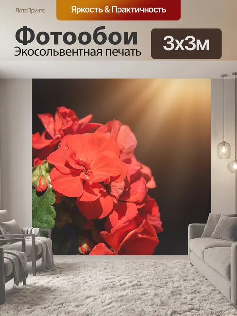 Фотообои Герань