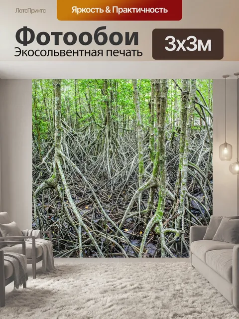 Фотообои Мангровые леса, Трат, Таиланд