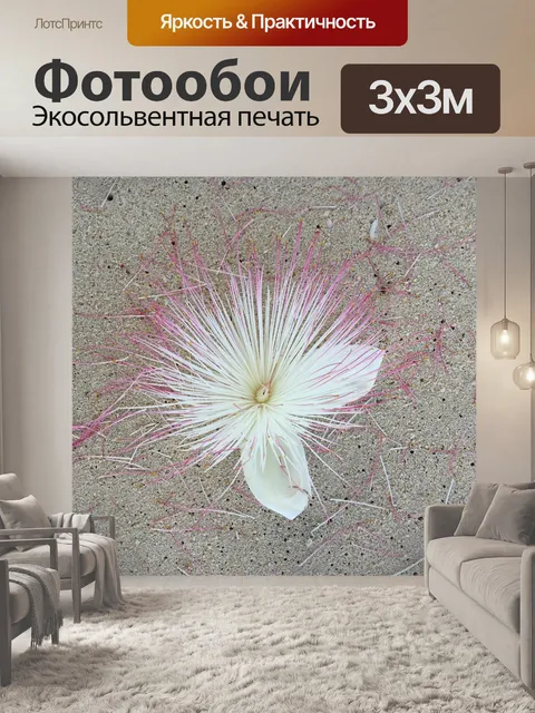 Фотообои Песок