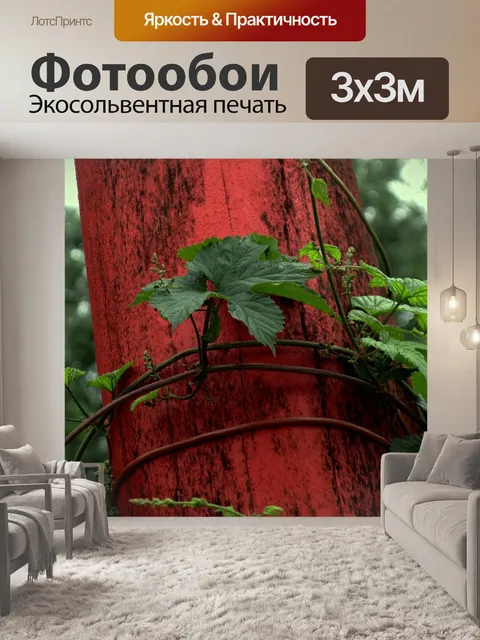 Фотообои Вьющееся растение