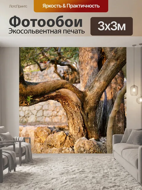 Фотообои Дерево
