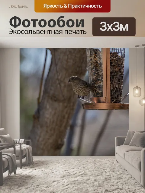 Фотообои Женский Дом Финч