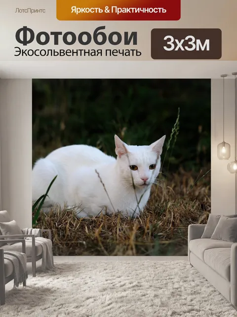 Фотообои Сплошной белый кот