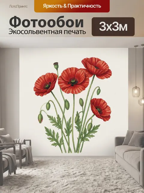 Фотообои Красные маки в ботанической иллюстрации