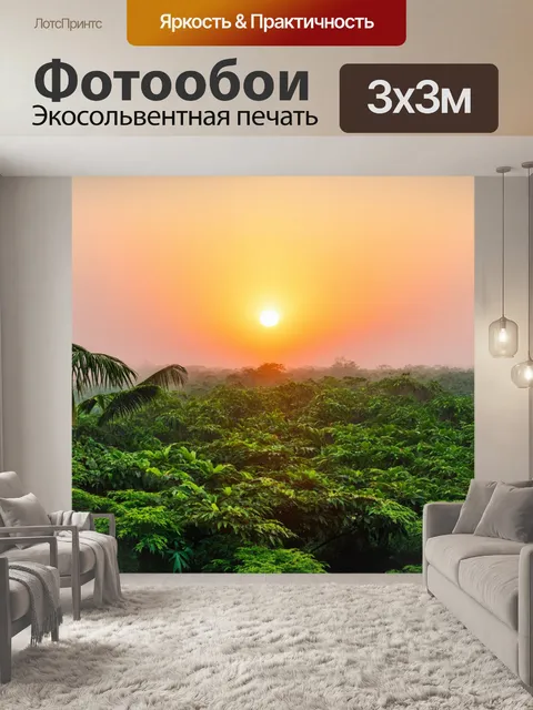 Фотообои тропическое утро, где солнце встает над горизонтом, освещая туманную растительность с утра