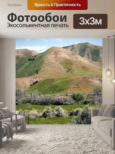 Фотообои Калифорнийские горы