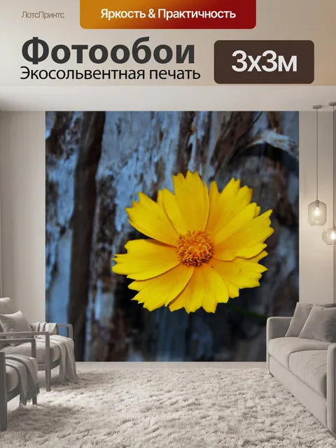 Фотообои желтая ромашка в саду