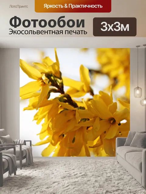 Фотообои Форсайтия