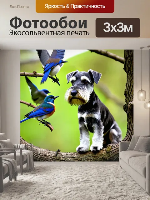 Фотообои цвергшнауцер с интересом смотрит на стаю птичек, сидящих на ветвях дерева