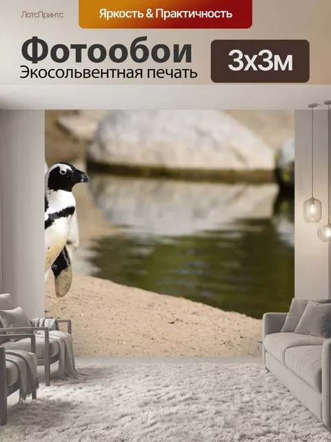 Фотообои Пингвин