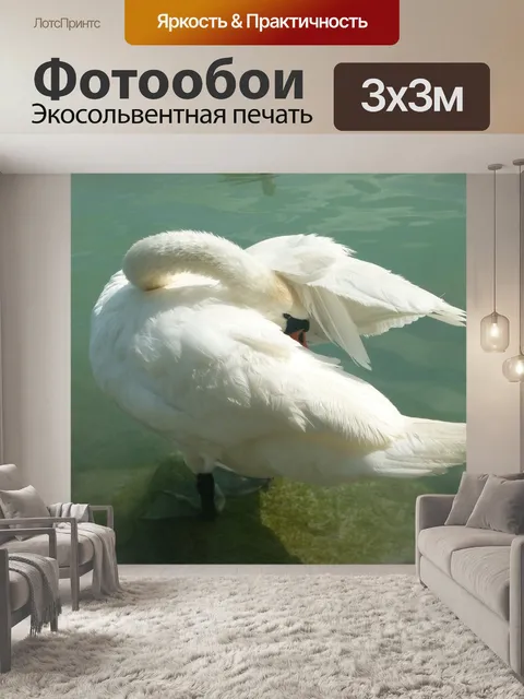 Фотообои Лебедь