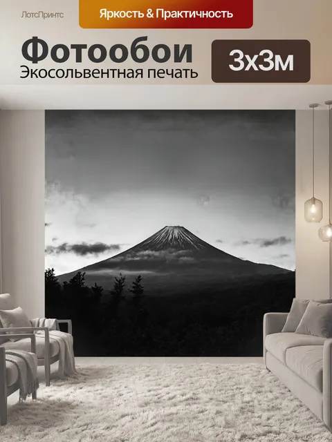 Фотообои вулкан корякский возвышается над мрачными осенними облаками