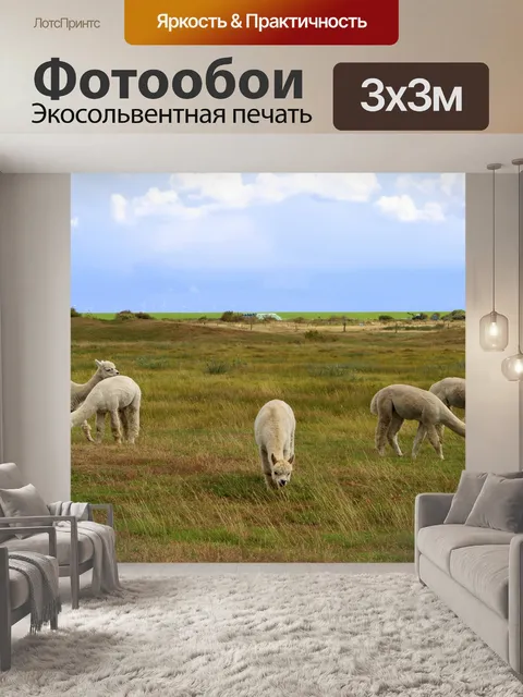 Фотообои Longoog