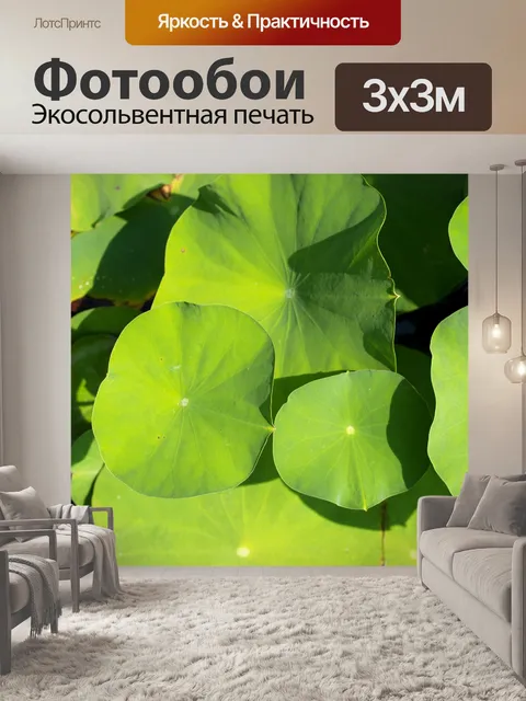 Фотообои Цветок лотоса