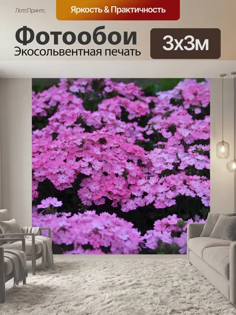Фотообои Первоцвет