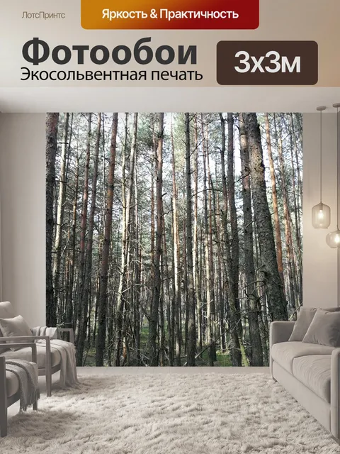 Фотообои Лес