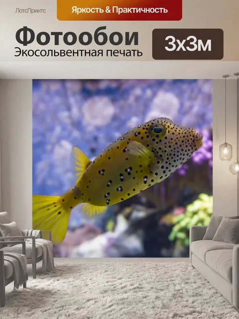 Фотообои Рыба фугу