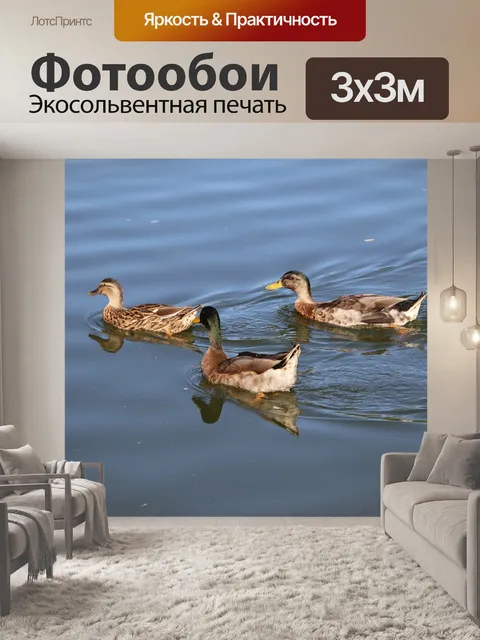 Фотообои Утки