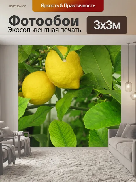 Фотообои Лимон