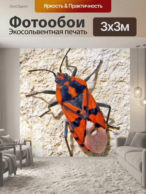 Фотообои Красный Солдат Ошибка