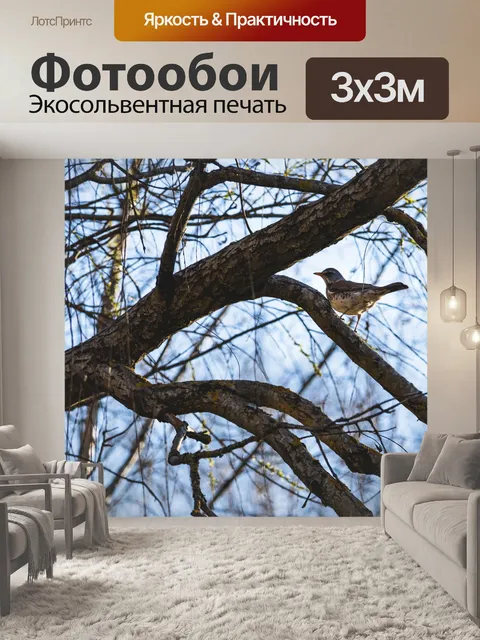 Фотообои Птица