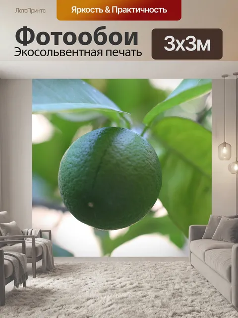 Фотообои Лайм