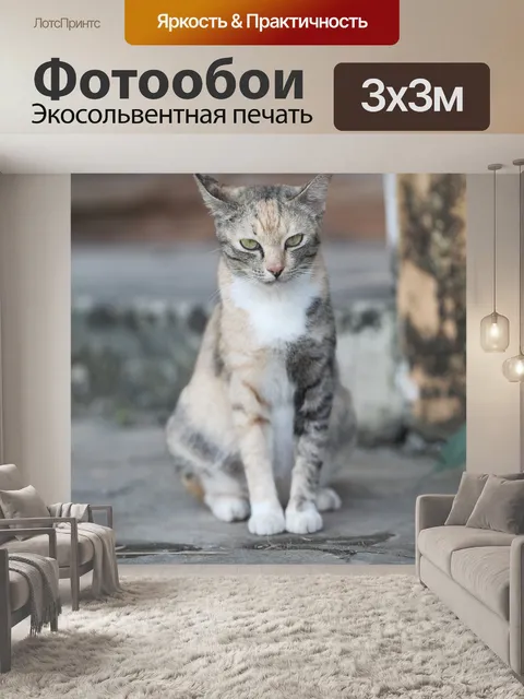 Фотообои Кошка