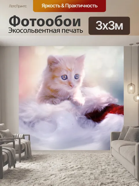 Фотообои Котенок