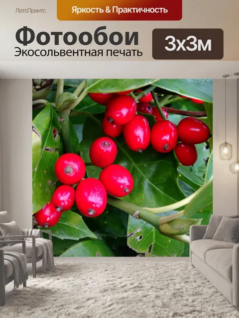 Фотообои Красные ягоды среди листьев